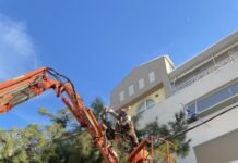 Ανάγκη Εθνικού Σχεδίου για την ορθολογική διαχείριση των Αστικών Δέντρων – Γιώτα Πούλου Ανεξάρτητη Βουλευτής Βοιωτίας